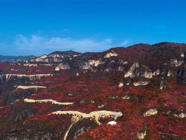 Mê mẩn với rừng phong núi Thái Hành Sơn ở tỉnh Hà Bắc, Trung Quốc