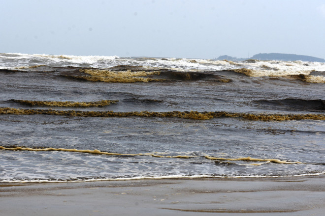 Nước biển màu đen, nổi bọt vàng bất thường ở Quảng Ngãi