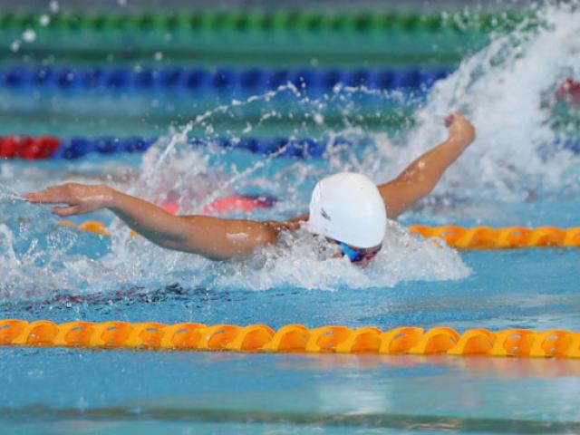 Trực tiếp Ánh Viên thi đấu SEA Games ngày 4/12: Săn 2 HCV bơi hỗn hợp và 200m bơi bướm