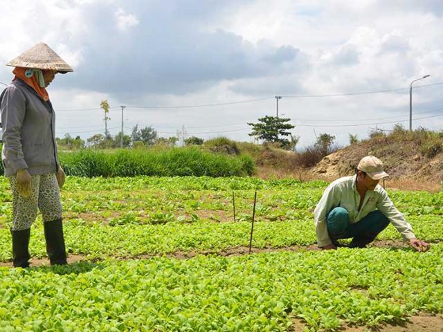 Khung giá đất mới tăng khoảng 20%: Đối tượng nào hưởng lợi?