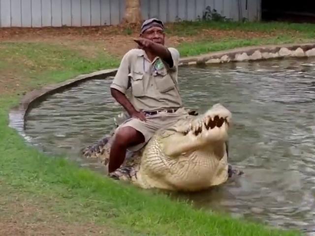Rùng mình người đàn ông cưỡi cá sấu khổng lồ