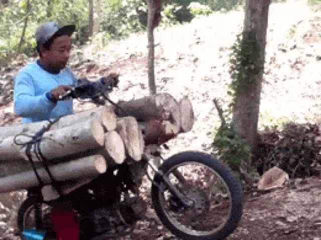Video: Lái xe máy chở gỗ leo dốc, ngã lộn vòng ra sau