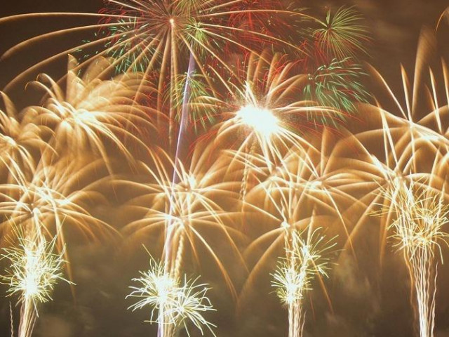 Doanh nghiệp nào là công ty duy nhất tại Việt Nam được sản xuất pháo hoa?