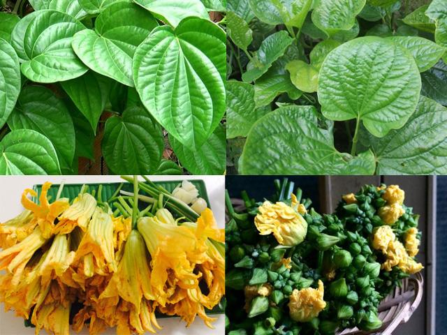 Những loại rau rất dễ nhầm lẫn, lỗi nhẹ thì cơm mất ngon, nặng thì ”gây họa”