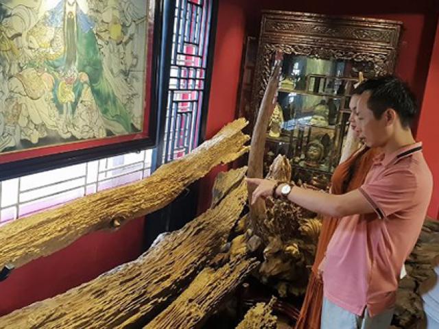 Lạc vào thế giới loại gỗ triệu đô của ông vua Trầm đất Bắc