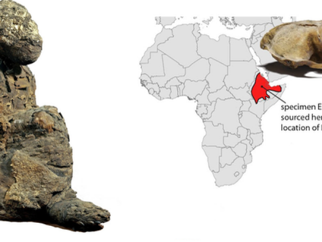 Xác ướp không phải con người tiết lộ ”đất châu báu” đầy vàng 3.000 năm