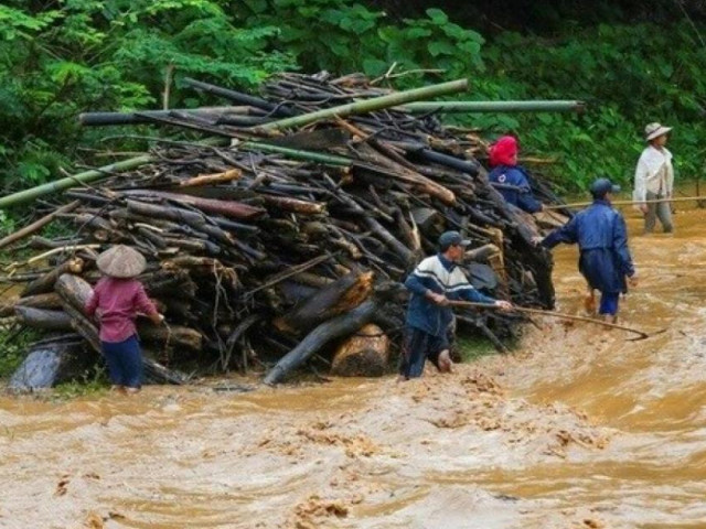 Nghệ An: Đi vớt củi, hai cha con bị nước cuốn tử vong