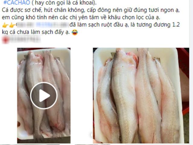 Loại cá đặc sản ở quê giá rẻ như cho, lên thành phố 250.000 đồng/kg tranh nhau mua