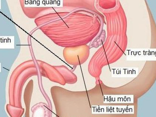 Căn bệnh nam giới U50 ai nghe cũng sợ, hãy thay đổi ngay 4 thói quen này, nếu có dấu hiệu cần được khám ngay