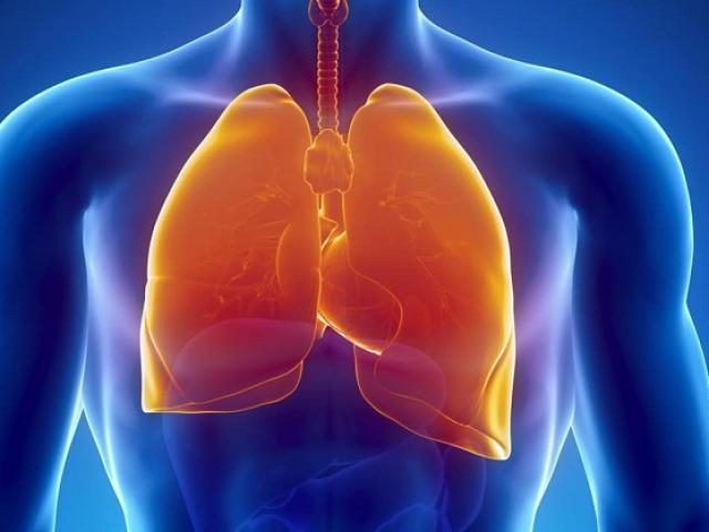 Ai chưa biết cách làm sạch phổi này thì phải thử ngay để ngày càng khỏe mạnh hơn