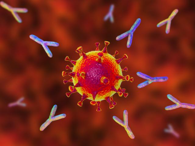 Nghiên cứu mới: Người tiêm đủ 2 mũi bị nhiễm Covid-19 sẽ có ”siêu kháng thể”?