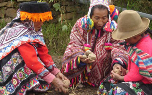 Một trong những truyền thống thú vị nhất&nbsp; để đón mừng năm mới ở Peru phải kể đến là việc &#34;bói&#34; tài lộc cho năm mới bằng khoai tây. Theo phong tục, vào đêm giao thừa sẽ có 3 củ khoai tây bí mật được đặt ở dưới ghế hoặc sofa. Một củ đã được gọt vỏ, một củ khác thì gọt một nửa, còn củ thứ 3 thì còn để nguyên. Ai ngồi trúng củ khoai tây nào thì sẽ ứng với chuyện tiền bạc trong năm mới. Củ khoai tây đã gọt vỏ tương ứng với một năm bết bát, củ khoai tây gọt một nửa vỏ thì được xem là một năm vừa đủ, còn &nbsp;ai may mắn ngồi trúng củ khoai tây còn nguyên vỏ thì sang năm sẽ &#34;phát tài phát lộc&#34;.