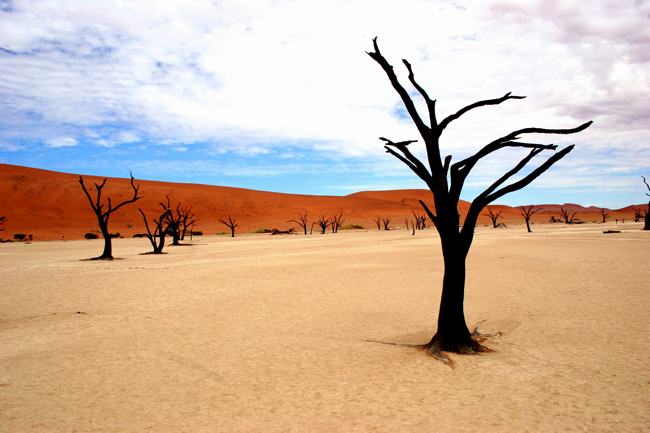 &nbsp;Công viên Namib-Naukluft ở Namibia được mệnh danh là “nghĩa địa cây khô”.



&nbsp;Trong công viên có rải rác hàng trăm cây keo chết khô.



Trước đây, nơi này rất màu mỡ nhưng khi dòng sông chuyển hướng, cây cối chết khô hàng loạt. Qua thời gian, chúng bị ánh nắng mặt trời nhuộm đen trông như những bộ xương trơ trọi trên mặt đất.
&nbsp;



&nbsp;Sông băng Perito Moreno nằm trong Công viên Quốc gia Los phía tây nam tỉnh Santa Cruz, Argentina.



&nbsp;Dòng sông đặc biệt này thu hút du khách bởi sự hùng vĩ cùng âm thanh vang dội của những trận lở băng hiếm gặp.



&nbsp;Sông băng Perito rộng 5km, sâu 170m và chiều cao trung bình trên mặt nước lên tới 74m.



&nbsp;Do không còn chỗ thoát nước, mực nước ở hồ dâng cao tạo áp lực khổng lồ, tạo nên cảnh tượng sập núi băng hết sức ngoạn mục.


Núi Roraima là ngọn núi đỉnh bằng cao nhất và nổi tiếng nhất Venezuela



Trong những ngày nhiều mây, đỉnh núi như một thiên đường với mây trắng vây quanh bốn phía.





&nbsp;Ngọn núi là nơi chứa và tạo ra nhiều địa chất lâu đời nhất thế giới, có niên đại vào khoảng 2 tỷ năm trước thời Tiền Cambri.



Nơi đây chỉ có một cầu thang tự nhiên là con đường duy nhất đưa du khách lên núi tham quan.
&nbsp;



&nbsp;Núi lửa Bromo ở Đông Java, Indonesia có đến 147 núi lửa, trong số đó có 127 núi lửa vẫn đang hoạt động và có thể phun trào bất cứ lúc nào.



&nbsp;Bromo từng được CNN chọn là một trong 50 kỳ quan thiên nhiên.



&nbsp;Đây cũng là nơi phiêu lưu mạo hiểm đối với các bạn trẻ ưa thích những trải nghiệm tuyệt vời.


&nbsp;Thác Kaieteur ở Guyana là thác có lượng nước lớn nhất ở khu vực sông Potaro-Siparuni.



&nbsp;Đây là một trong những thác nước hùng mạnh nhất trên thế giới.


Thác Kaieteur nhìn từ trên cao đẹp như ở chốn bồng lai tiên cảnh



&nbsp;Hang động thủy tinh Naica, Chihuahua ở Mexico 



&nbsp;Khối thủy tinh lớn nhất dài tới 100 mét, nặng 55 tấn, hình thành cách đây 500.000 năm.


&nbsp;Các nhà khoa học gặp khó khăn trong việc tìm hiểu về hang động vì bị chắn bởi những khối thủy tinh khổng lồ.