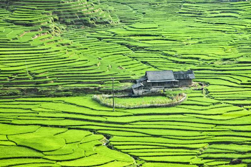 Sapa, khu vực đồi núi phía Tây Bắc Việt Nam, là một trong những địa điểm độc đáo nhất của đất nước này. Chỉ với môt chuyến tàu đêm từ Hà Nội đến Sapa, bạn có thể tận hưởng một chuyến đi ngắn ngày với sự kì diệu của ruộng bậc thang hay những đỉnh núi mờ ảo trong sương sớm.