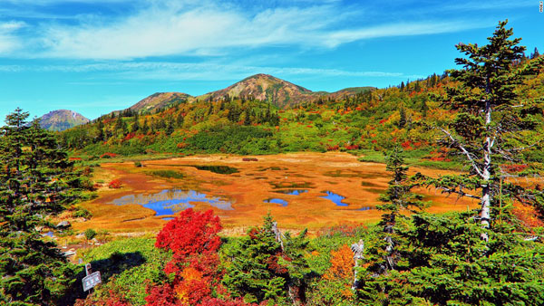 Hồ Koya ở Niigata. Khu vực hồ Koya sẽ phủ những sắc màu vô cùng rực rỡ vào mùa thu. Thảm thực vật của hồ sẽ phủ chiếc áo màu vàng, đỏ và xanh như khu rừng bao quanh.