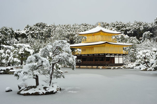 Ngôi đền dát vàng Kinkakuji nổi bật giữa khung cảnh mùa đông tuyết phủ ở Kyoto, Nhật Bản.