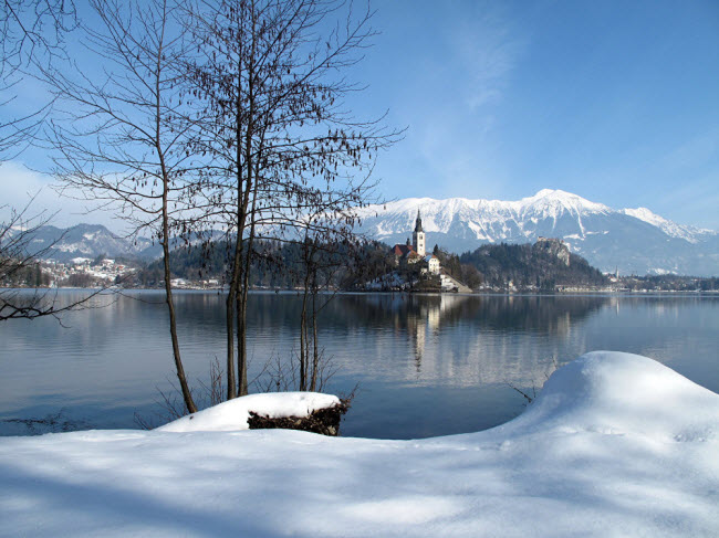 Hồ Bled ở Slovenia.