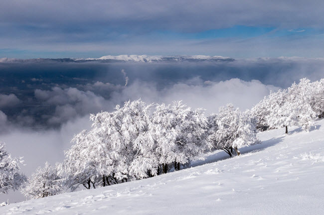 Khung cảnh mùa đông ở Le Coin, Rhone-Alpes, Pháp.