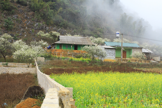 Sắc màu cao nguyên
