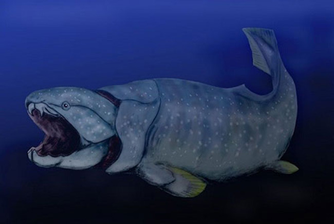 Dunkleosteus giữ kỉ lục là loài động vật có cú cắn mạnh nhất.