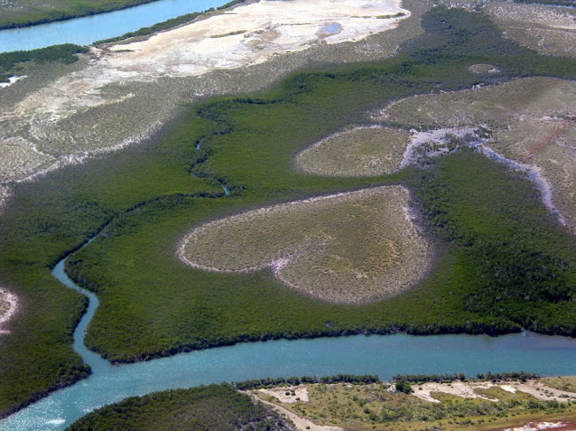 Cấu trúc thực vật hình trái tim độc đáo trong bức ảnh do nhiếp ảnh gia Yann Arthus-Bertrand chụp vào năm 1990 trên đảo New Caledonia thuộc Pháp.