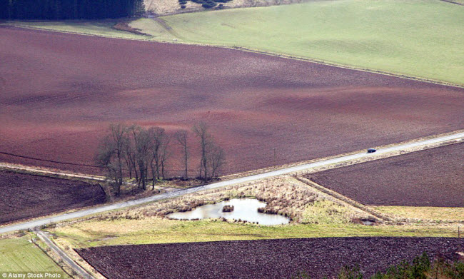 Hồ nước nhỏ hình trái tim nằm dưới chân đồi Dunsinane ở Perthshire, Scotland.