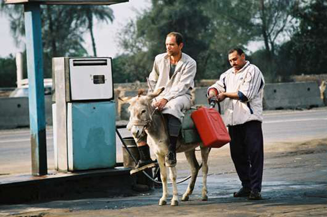 Đổ xăng cho đầy đèo &#34;gấu&#34; đi chơi