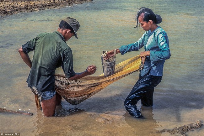 Đánh cá ven sông.