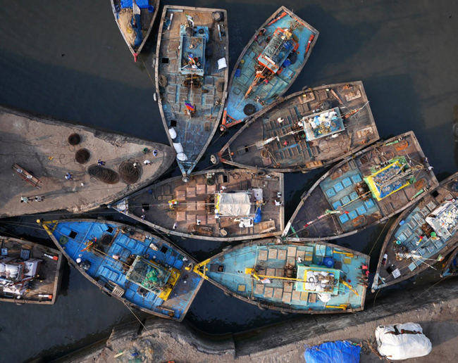 Tàu đánh cá ở Sassoon Dock, Mumbai, Ấn Độ.&nbsp;