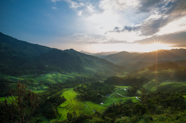 Khung cảnh bình minh trên những thửa ruộng bậc thang ở Hoàng Su Phì.