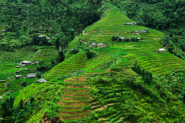 Khung cảnh ruộng bậc thang ở Hoàng Su Phì.