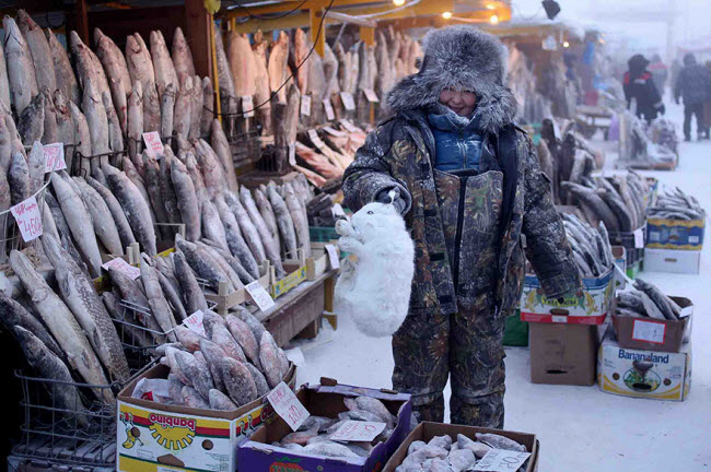 Nguồn cung cấp thực phẩm chính cho người dân ở ngôi làng Oymyakon là khu chợ trung tâm ở thành phố Yakutsk &#40;ảnh&#41;. Nơi đây bán đầy đủ các loại cá, thịt và ngũ cốc.