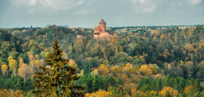 Những du khách không thích không khí ồn ào, có thể tới vùng ngoại ô Sigulda chỉ cách trung tâm thành phố Riga 1 giờ di chuyển bằng ô tô.