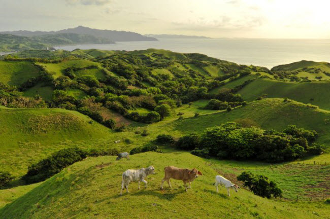 6. Khám phá cực bắc của Philippines: Batanes, tỉnh nằm ở cực bắc của Philippines, hơi khó tiếp cận vì các chuyến bay thường bị hủy do thời tiết xấu. Nhưng đổi lại, du khách có hội chiêm ngưỡng&nbsp;phong cảnh hoang sơ tuyệt đẹp như trong truyện cổ tích.