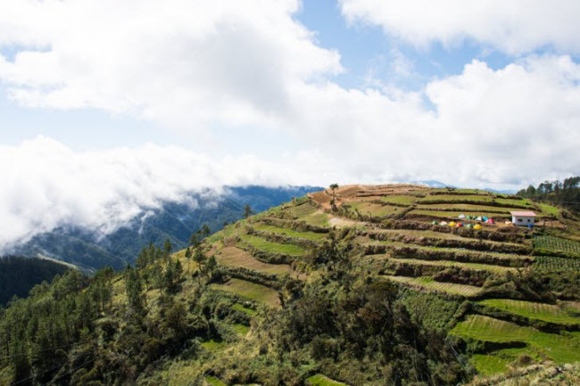 9. Khám phá ngọn núi cao thứ 3 ở Philippines: Đỉnh núi Mt. Pulag là điểm cao nhất trên hòn đảo Luzon của Philippines và là điểm du lịch khám phá hấp dẫn với khách du lịch trong nước và quốc tế.