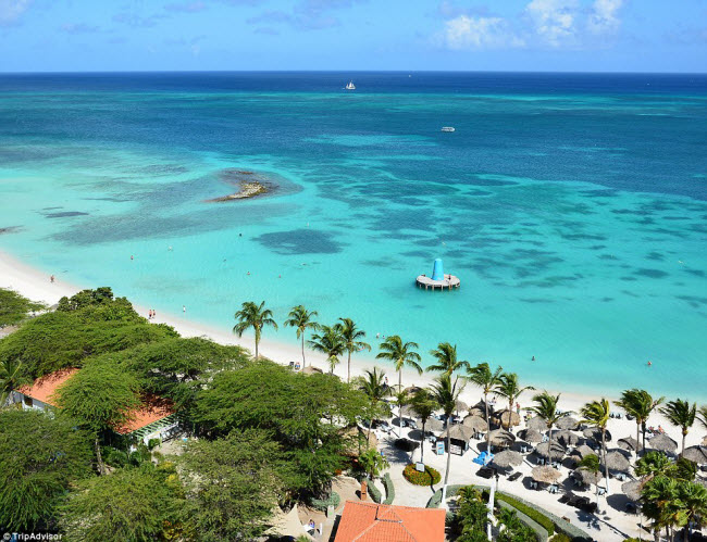 Bãi cát trắng và và nước biển xanh đang chờ du khách trên bãi biển Eagle Beach ở Aruba, Caribbe.