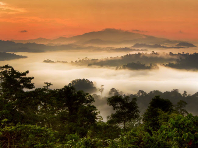 Thung lũng Danum, Malaysia: Nằm trên đảo Borneo, thung lũng Danum là khu rừng nhiệt đới nguyên sinh với một số ít du khách được phép khám phá khu vực này. Nếu có cơ hội tới đây, bạn có thể ngắm những loài động vật như đười ươi, báo mây, voi châu Á,…