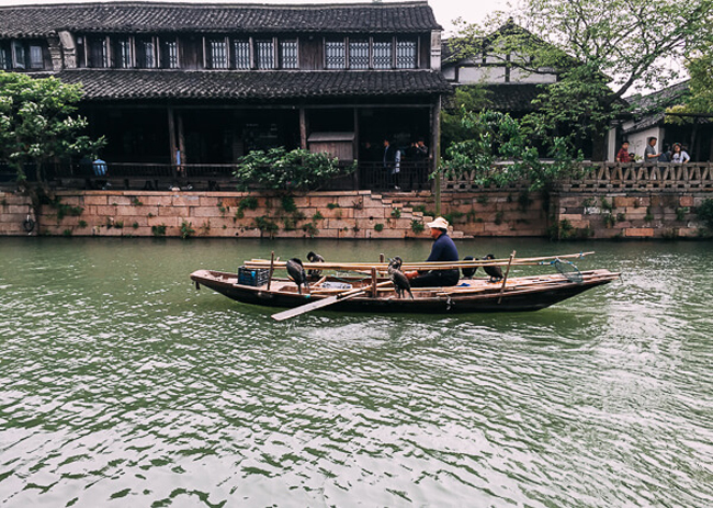 Ngư dân khi đi đánh cá đều mang theo những con chim săn mồi của họ. Khi phát hiện ra con mồi dưới sông, những con chim này sẽ sà xuống bắt và người đánh cá chỉ việc đến lấy. Đây là một phương pháp đánh bắt truyền thống nhưng đang ngày càng mai một.