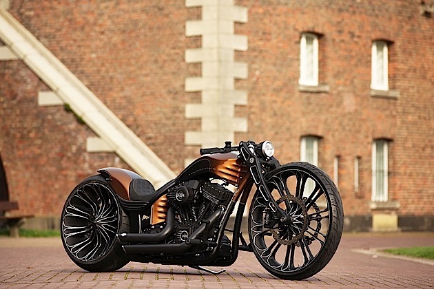 Harley Davidson độ sang chảnh &#34;hớp hồn&#34; giới nhà giàu - 9