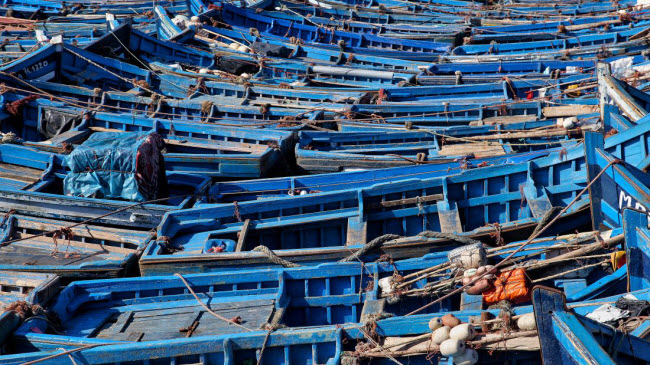 Essaouira, Ma-rốc: Thị trấn cảng Essaouira nhìn xuống biển Đại Tây Dương là điểm đến ưa thích của những du khách thích hoạt động lướt ván.