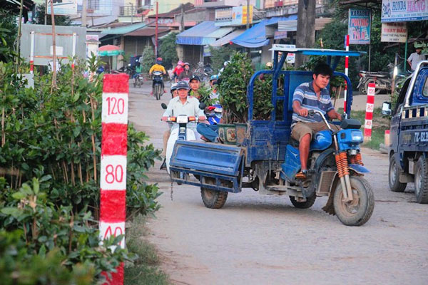 Dân Bình Định dựng lều, công khai số điện thoại… “tiếp thị” mai Tết - 9