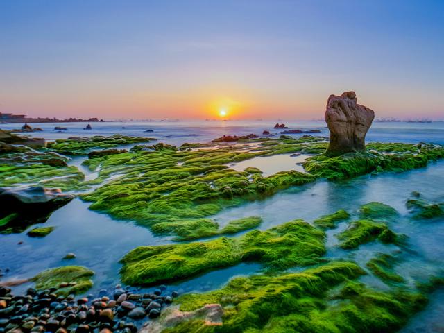 Chiêm ngưỡng rêu phủ kín bãi đá nhiều màu nhất Việt Nam