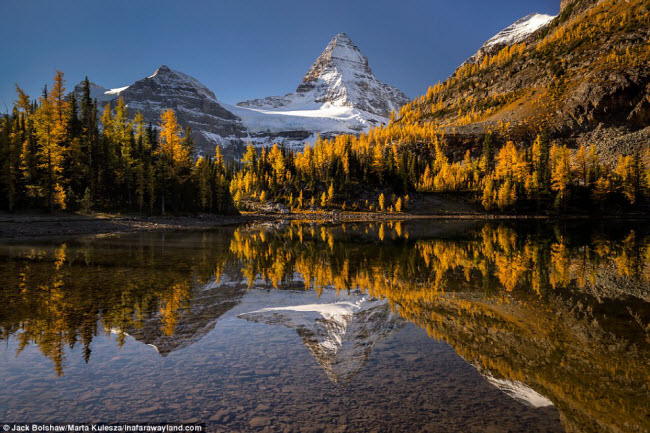 Núi Assiniboine in bóng xuống mặt nước phẳng lặng dưới hồ Sunburst ở British Columbia, Canada.