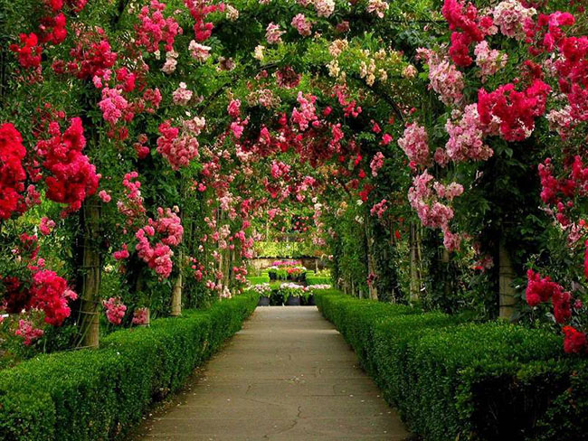 1. Công viên Butchart  - Canada:  Nằm tại Vịnh Brentwood, British Columbia là Vườn hoa Butchart, một trong 6 vườn hoa đang được mệnh danh là lộng lẫy nhất thế giới.