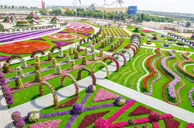 Dubai Miracle Garden là vườn hoa duy nhất được xây dựng trên sa mạc. Người lãnh đạo vùng đất Akar cho biết cách làm "xanh sa mạc" tốt nhất là tái sử dụng nước thải để xây dựng công viên nổi tiếng xinh đẹp này.