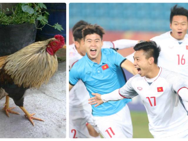 Thú vị: Dàn ”thú cưng” tiên tri đổ xô chọn U23 Việt Nam vô địch châu Á
