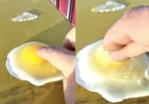 Video: Đập trứng ra, biến thành cục băng trong phút chốc - 1