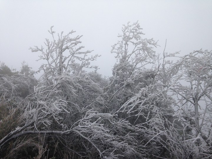 Lạnh -1,4 độ C, băng giá phủ trắng đỉnh Mẫu Sơn - 1