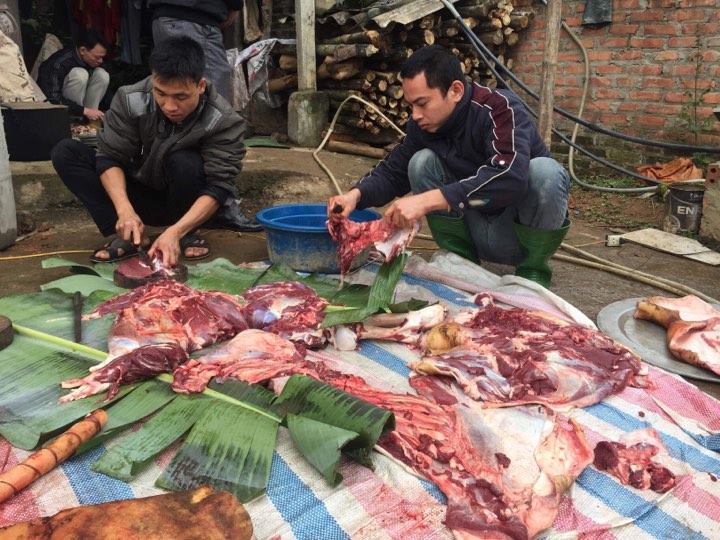 &#34;Thánh lầy&#34; Hà Đức Chinh: &#34;Em thích đi chăn trâu như ngày xưa&#34; - 3