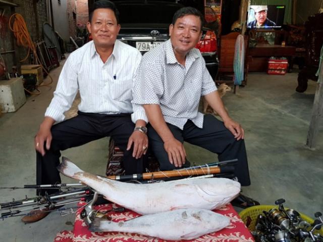 Hai ngư dân quyết định bán cặp cá sủ vàng với giá 1,5 tỷ đồng